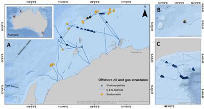 Habitat value of subsea wells and pipelines for fishery target species in Australia